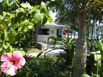 Since 1978, DIVE ABACO! has been at the Conch Inn Resort & Marina, Marsh Harbour, Abaco, Bahamas.