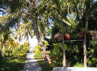 Conch Inn Resort & Marina, Marsh Harbour, Abaco, Bahamas