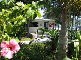 Dive Abaco Shop
